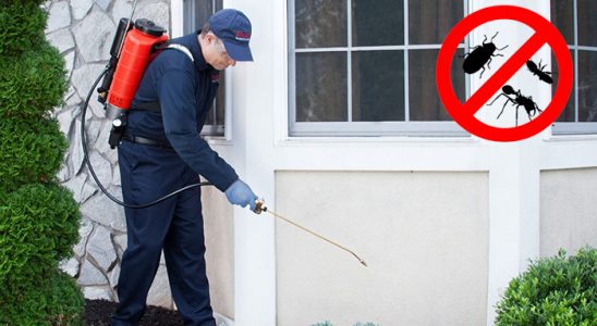 Mazgirt Kene İlaçlama böcek ilaçlama ve haşere kontrolü — ilaclama-tr.com